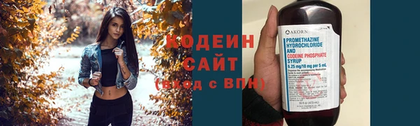 стаф Верея