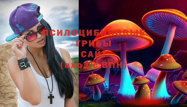 стафф Верхний Тагил